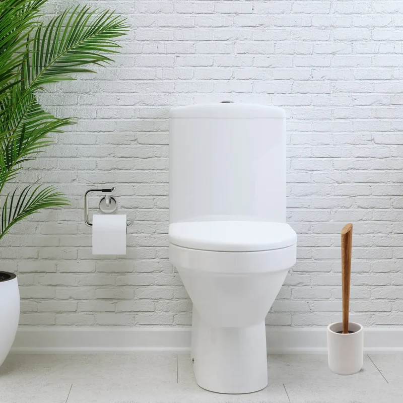 Toilettenbürste