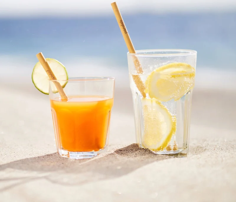 Cocktail Strohhalme aus Bambus, 12er Set inkl Reinigungsbürste
