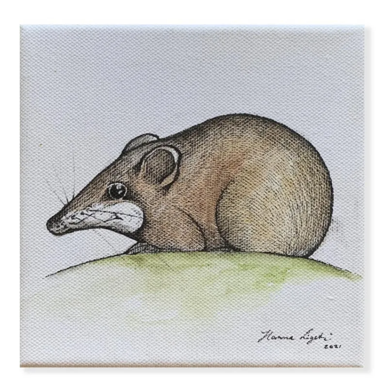 Minioriginal – Tasmanischer Langnasenbeutler – 15 x 15 cm