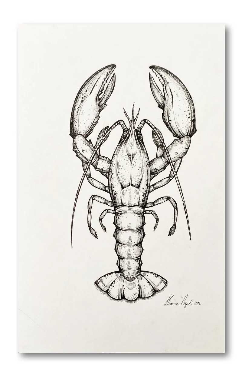 Minioriginal – Hummer – 20 x 30 cm