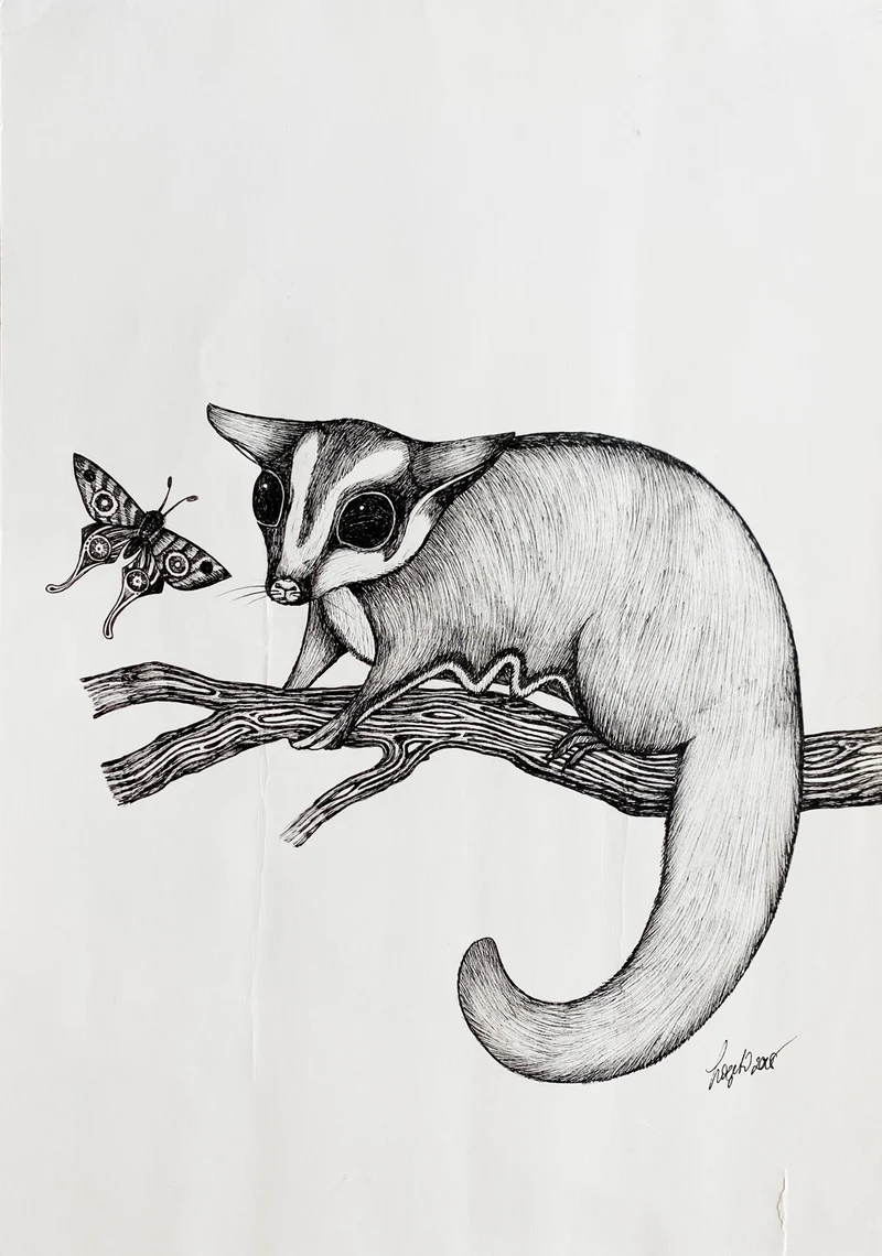 Minioriginal – Flughörnchen – 28 x 40 cm