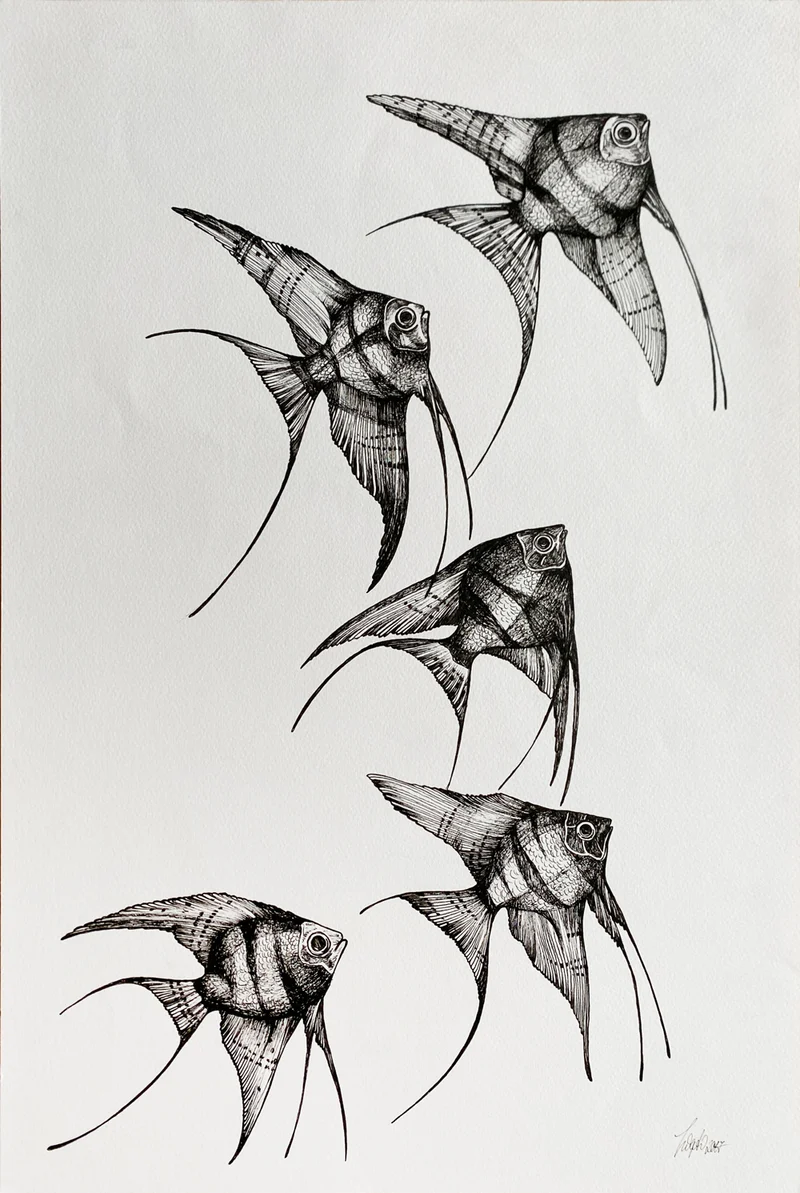 Minioriginal – Skalare – 30 x 45 cm