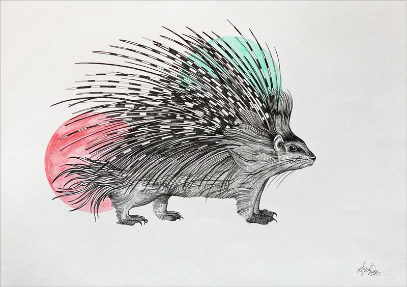 Minioriginal – Stachelschwein – 42 x 30 cm