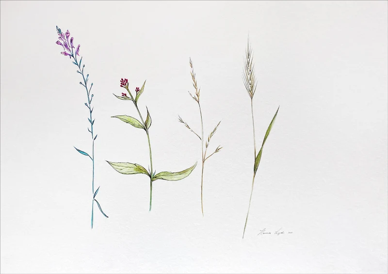 Minioriginal – Gräser – 42 x 30 cm