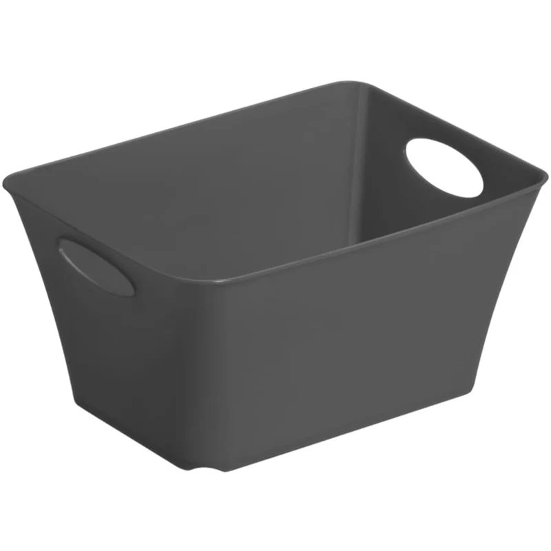 Rotho LIVING Box