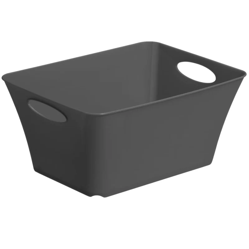 Rotho LIVING Box