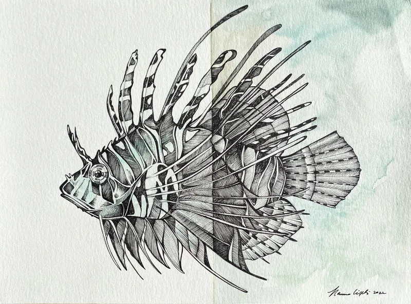 Minioriginal – Feuerfisch – 29 x 21 cm