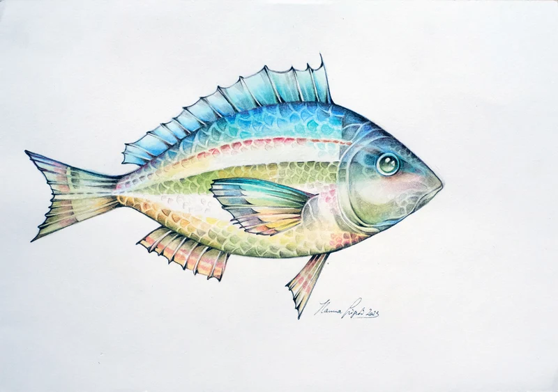 Minioriginal – Buntfisch 4 (Apatit) – 30 x 21 cm