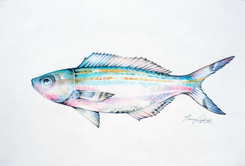 Minioriginal – Buntfisch 3 (Opal) – 30 x 20 cm