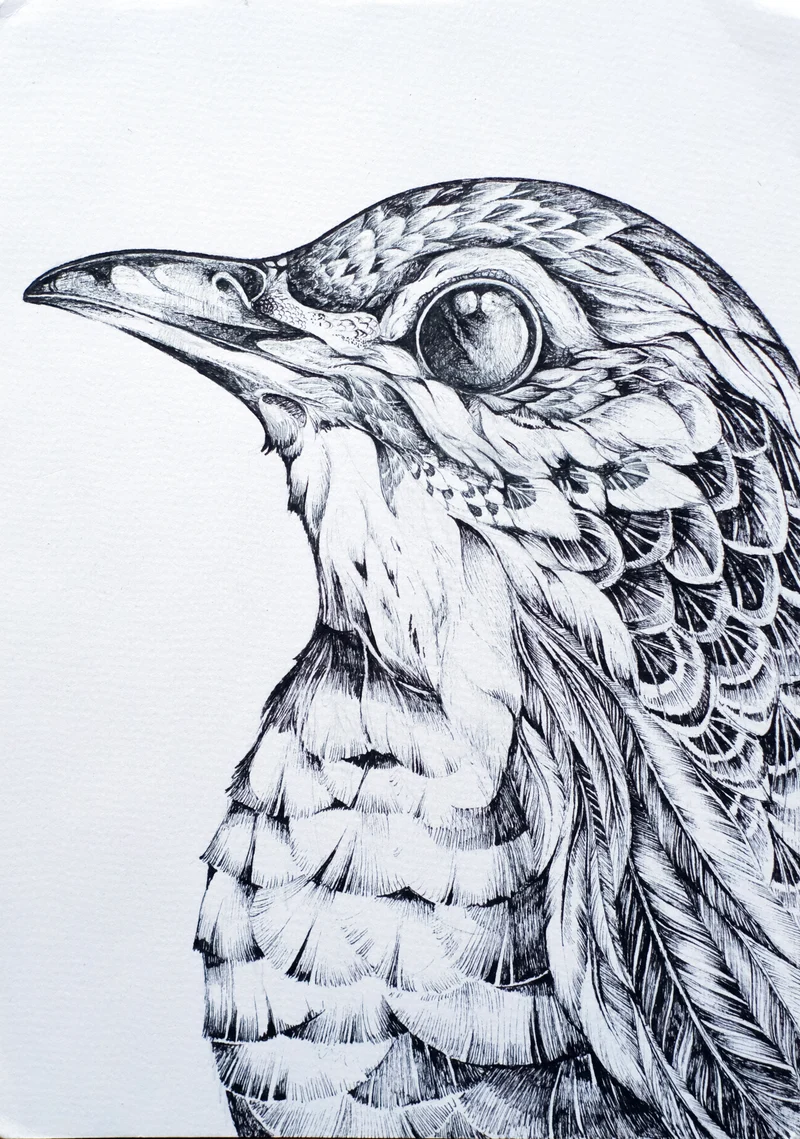 Minioriginal – Curiosita – 21 x 30 cm