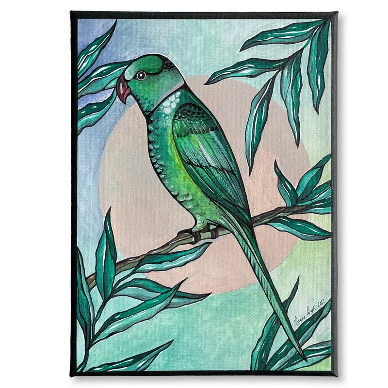 Original – Halsbandsittich – 18 x 24 cm