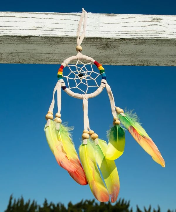 Bunte Feder Dreamcatcher
