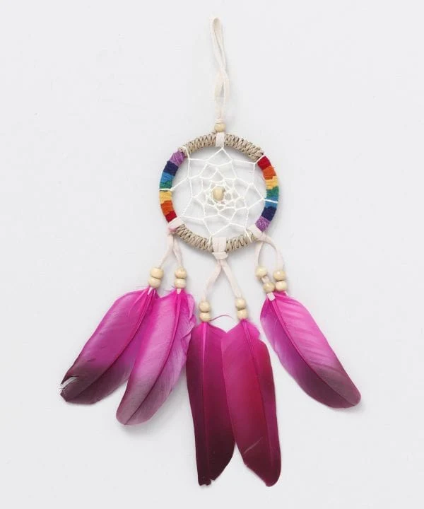 Bunte Feder Dreamcatcher