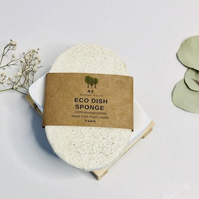 Eco Dish Sponge, 3-Pack