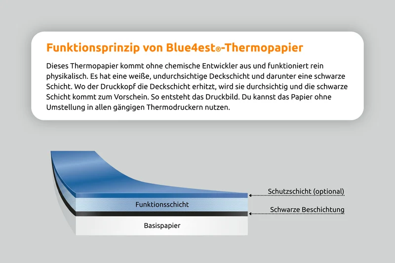 Thermorolle 80 x 90m x 12 (Ø 78mm) Blue4est® ohne Aufdruck