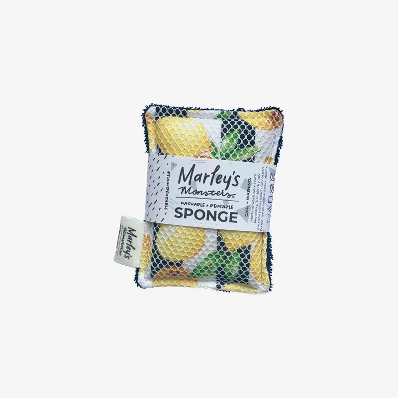 Eco-Friendly Washable Sponge