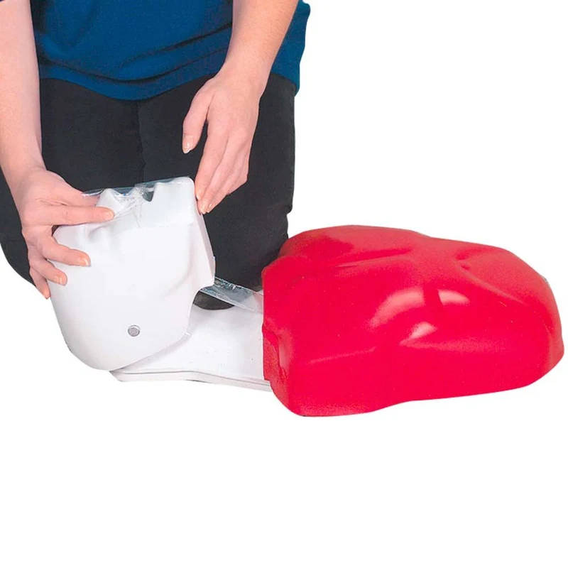 Erler Zimmer CPR Puppe Basic Buddy, versch. Varianten