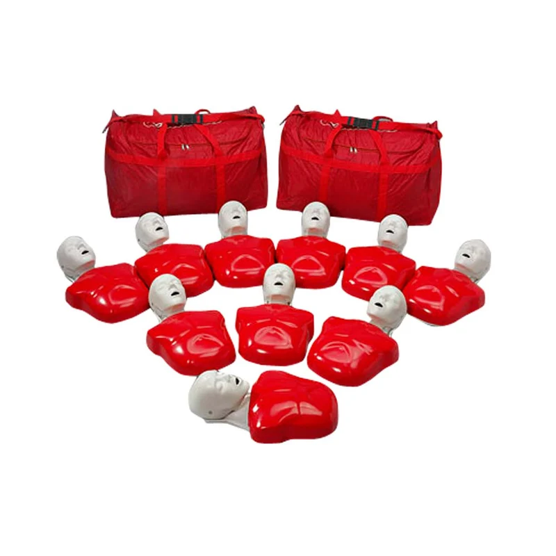 Erler Zimmer CPR Puppe Basic Buddy, versch. Varianten