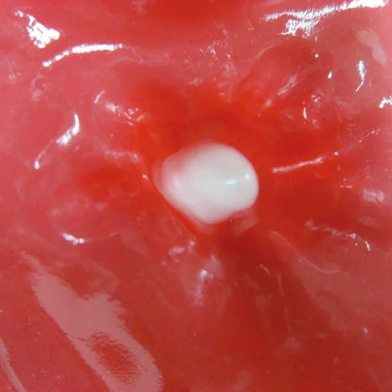 Erler Zimmer Simulator - Oesophago-Gastro-Duodenoskopie (OGD)