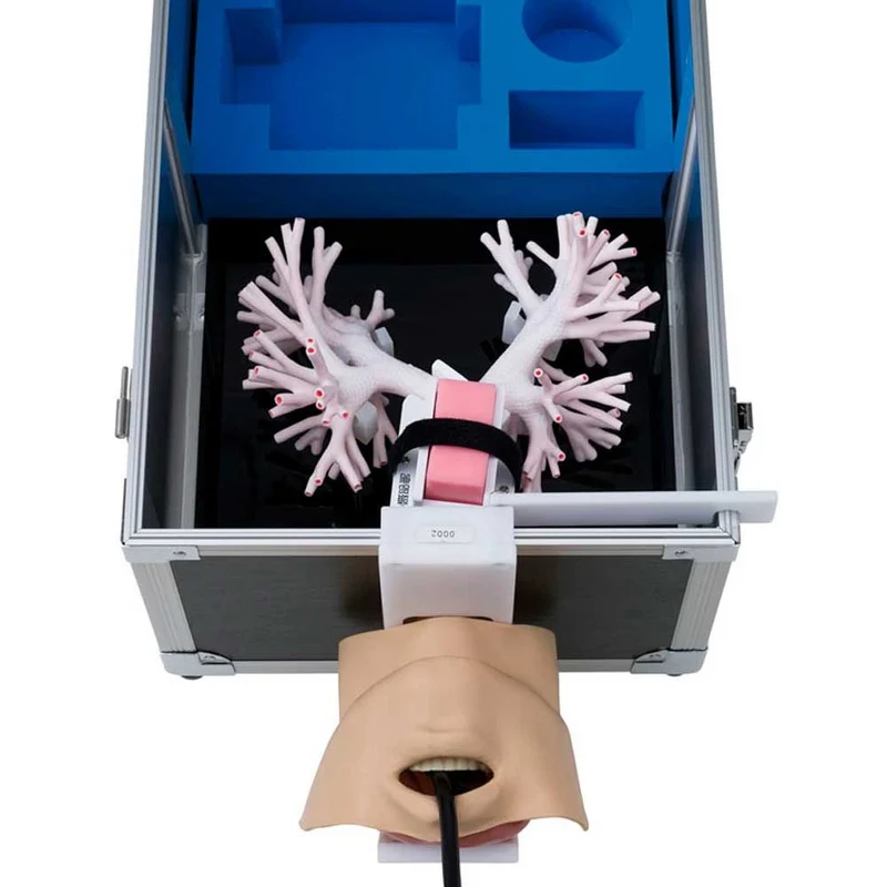 Erler Zimmer Trainer - Ultraschall Bronchoskopie