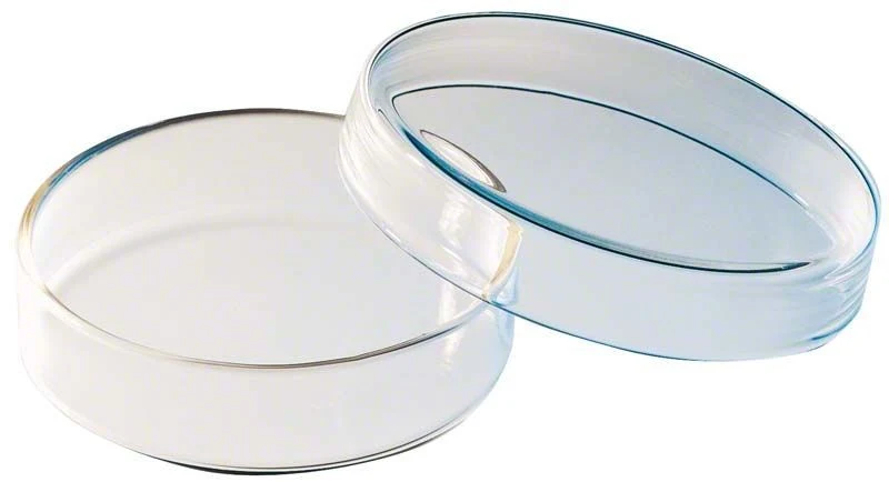 Petrischale Klarglas ohne Einteilung 80mm