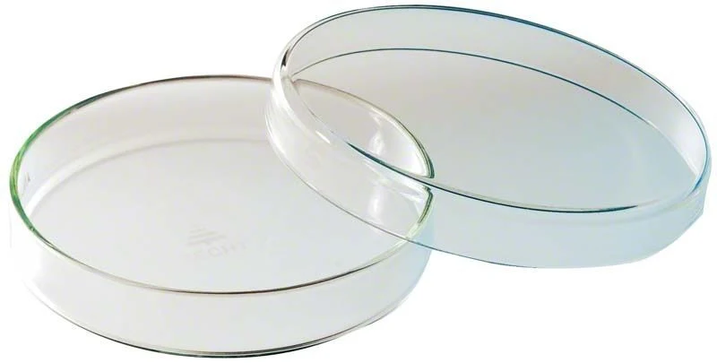Petrischale Klarglas ohne Einteilung 100mm